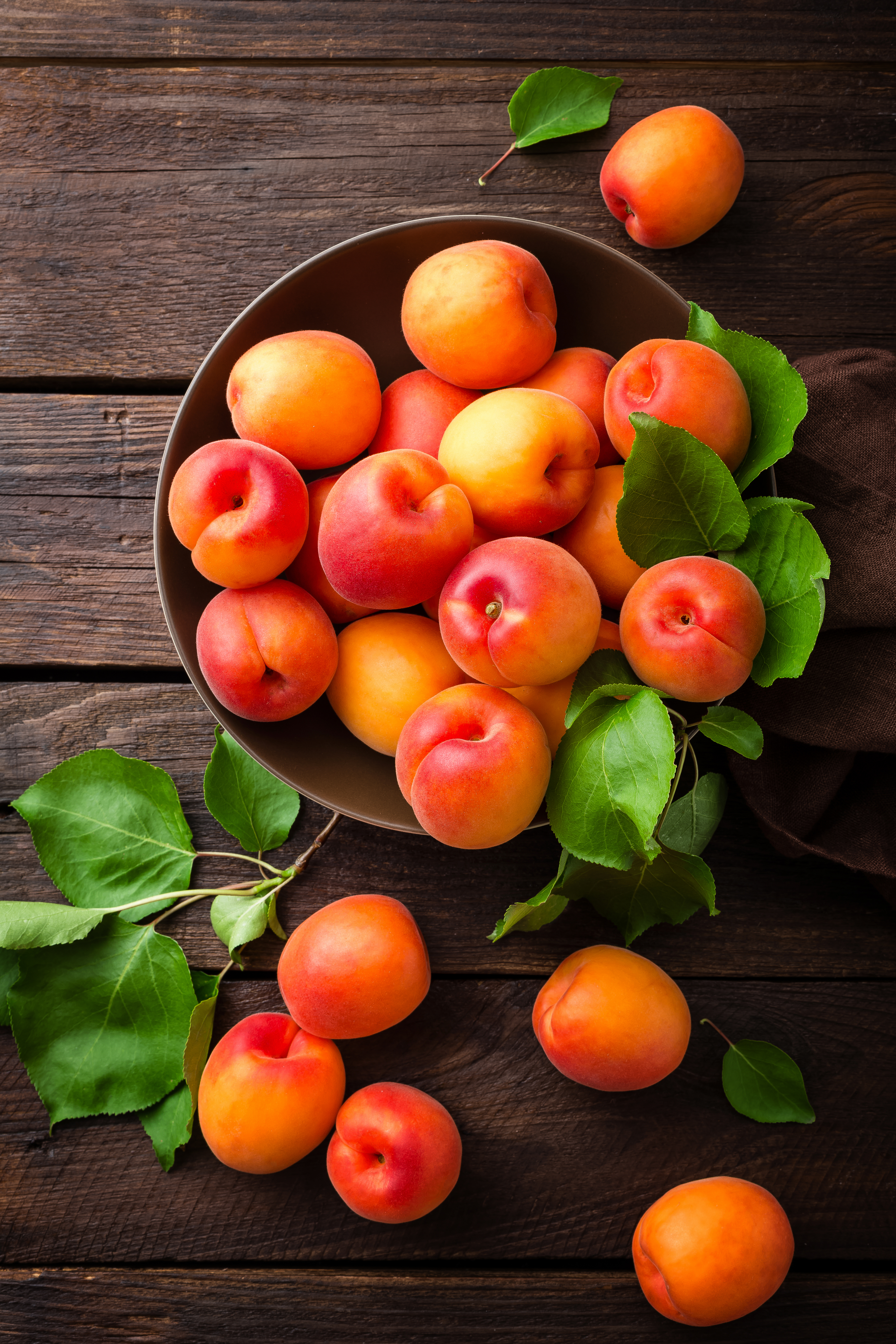 apricots-2021-08-26-17-20-58-utc.jpg