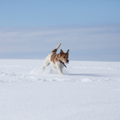 Zdravstvene dobrobiti snijega