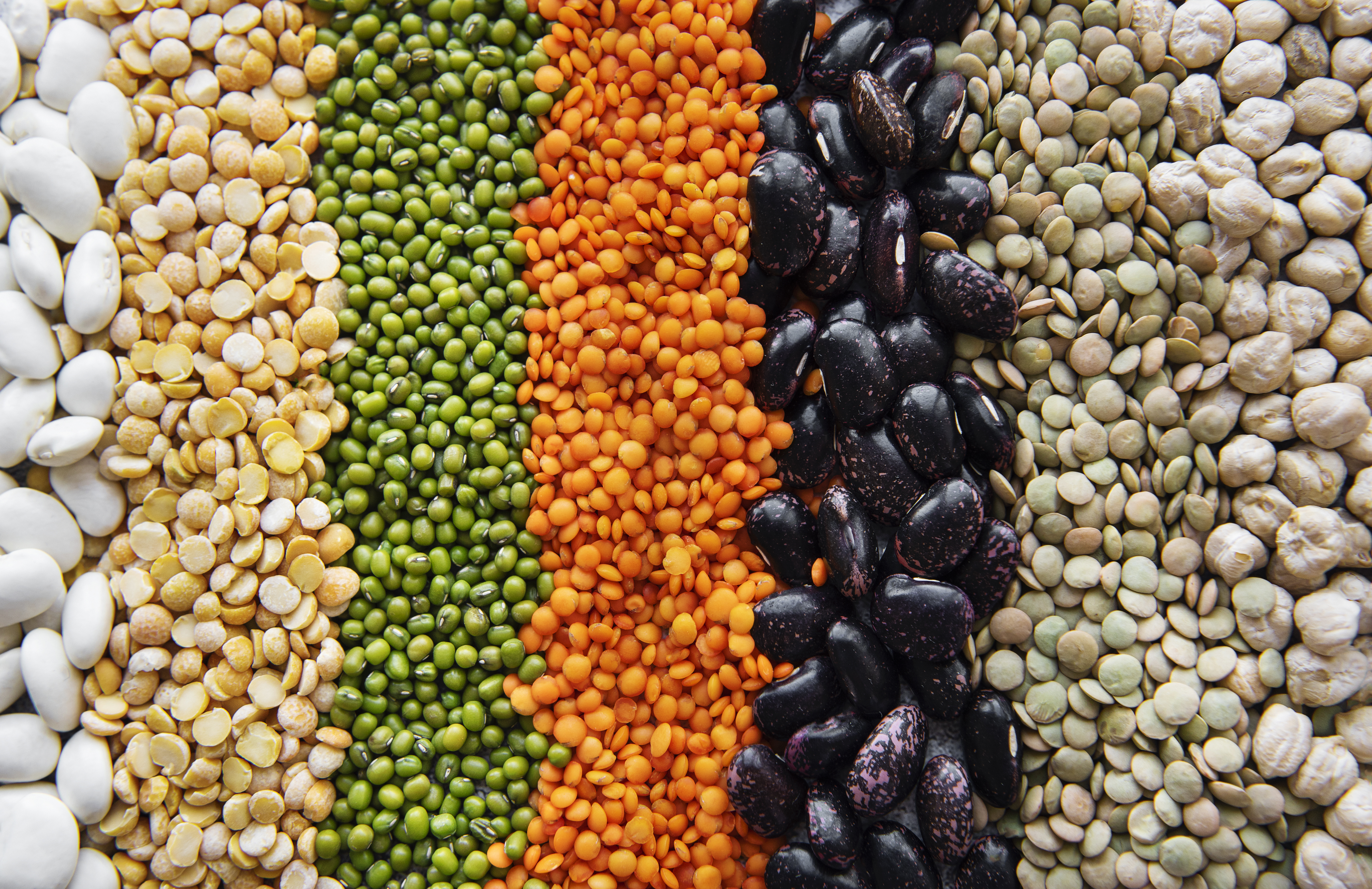 food-background-with-different-legumes-2021-12-09-20-43-40-utc.jpg